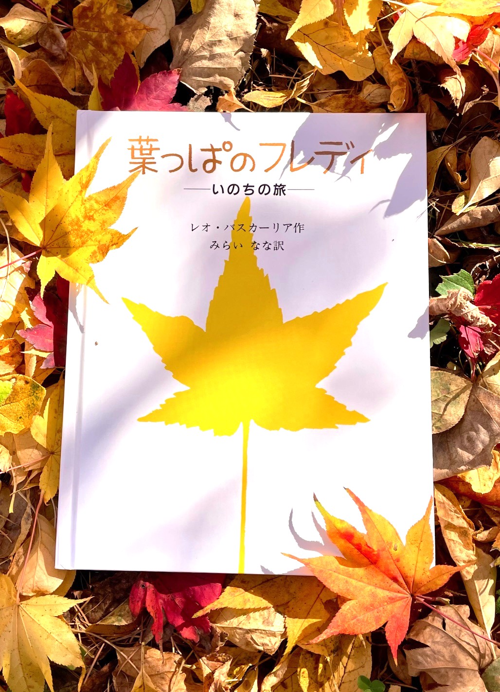 葉っぱのフレディ 自然の中